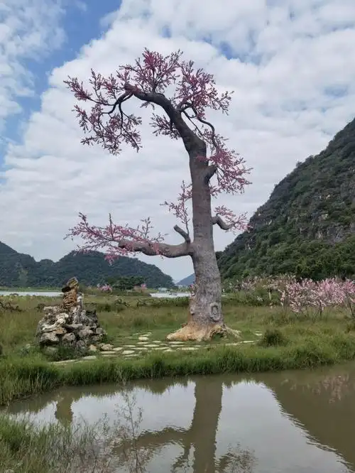 三生三世十里桃花取景地