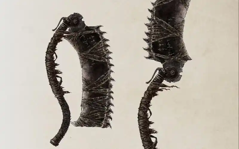 bloodborne64_血源诅咒 动作模组bug 千变万化的锯肉刀