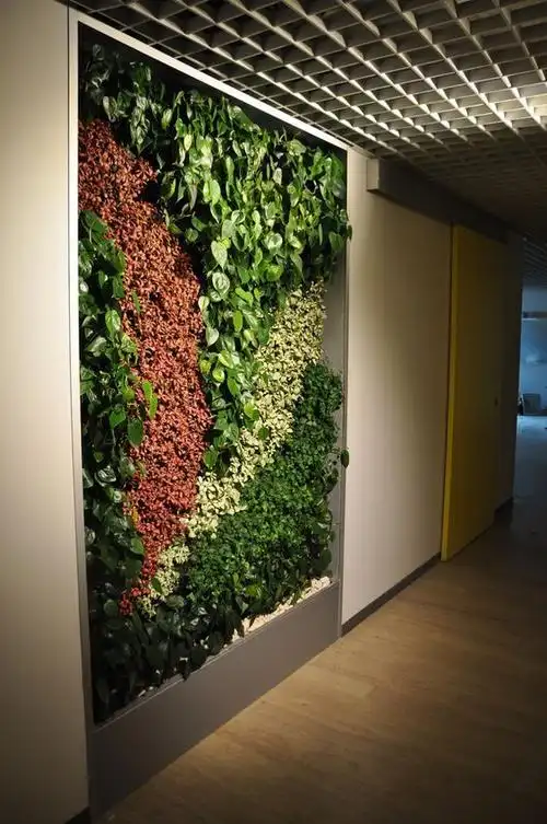 植物墙(绿墙) (23)