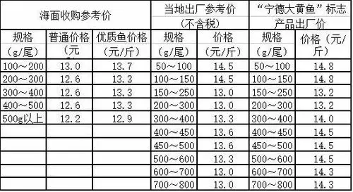 大黄鱼即将发生一件大事!记者深入产区,绿色引领,振兴国鱼!