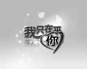 我只在乎你的作品信息