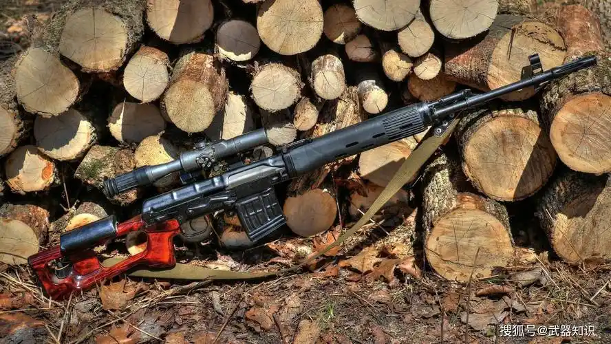 svd德拉贡诺夫狙击步枪 苏制硬汉耐用狙击步枪的代表_射击_军队_苏联
