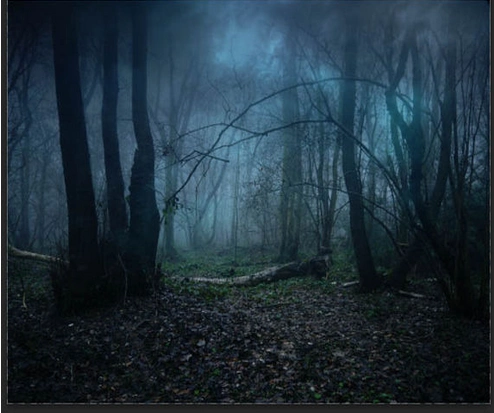 【教程】ps合成昏暗的恐怖森林场景