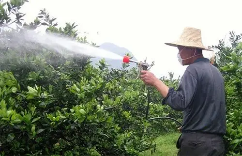 果树叶面肥喷施关键技术总结