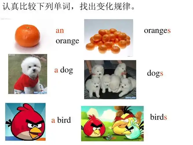 【英语】新目标七年级上:名词单数变复数课件ppt