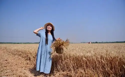 记忆麦田,情景再现