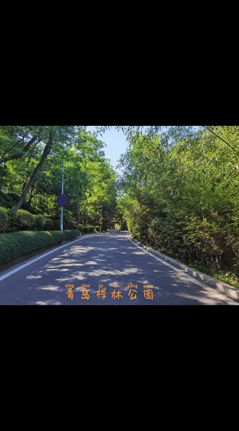 第135集人间美景青岛榉林公园