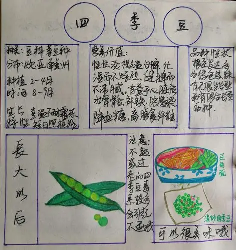 破壳日记————小一班 方梓睿