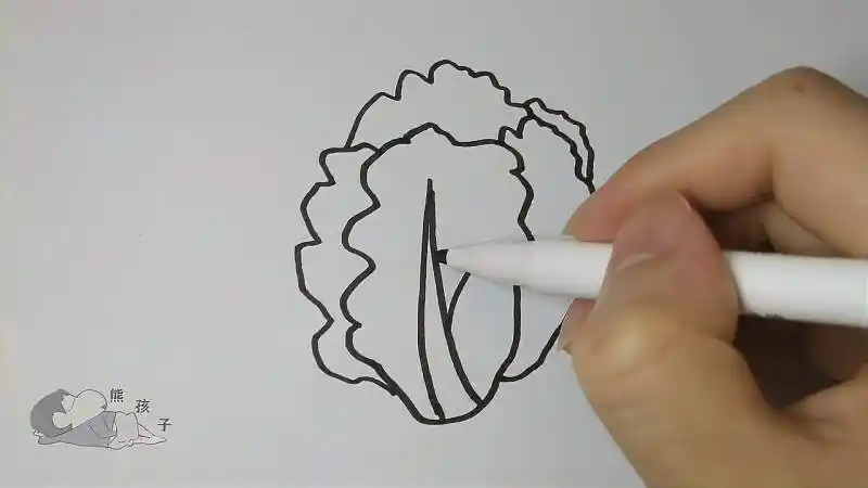 生菜儿童画简笔画简单漂亮的生菜简笔画炒小白菜的简笔画涂鸦系列之