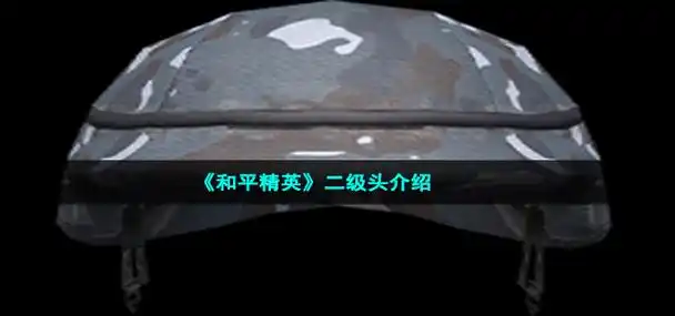 二级头和平精英(和平精英二级头叫什么)