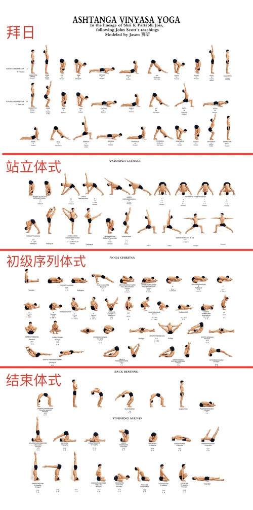 阿斯汤伽瑜伽这里有最详细的科普_汤加_is_yoga