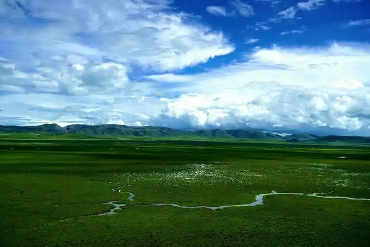 美丽的若尔盖大草原