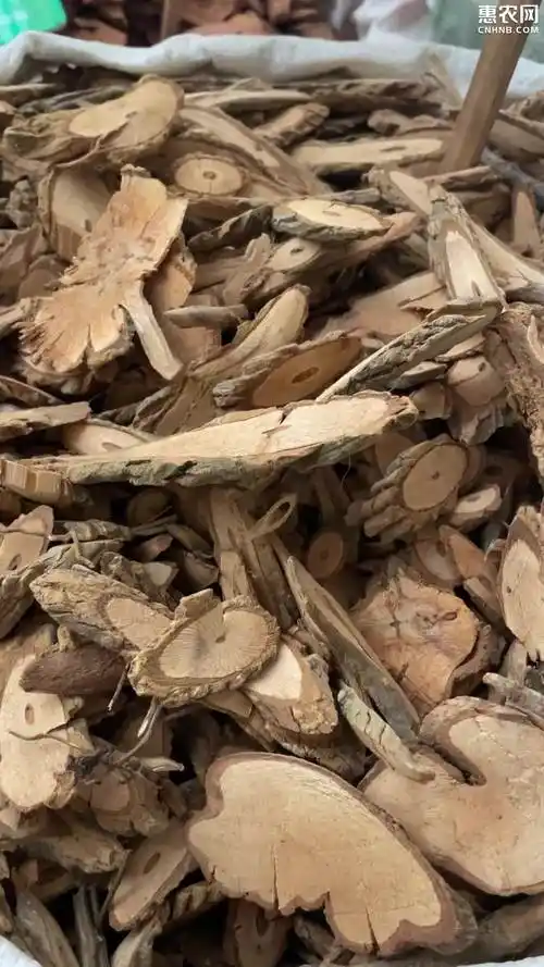 [钩吻批发]钩吻大茶藤断肠草中药材批发可打粉量大包邮价格5元/斤