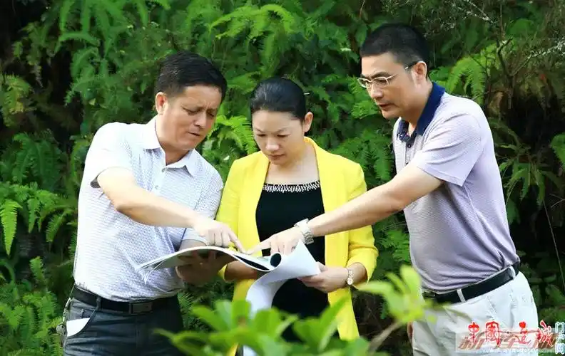 连城县长蓝凯英调研旅游项目工作