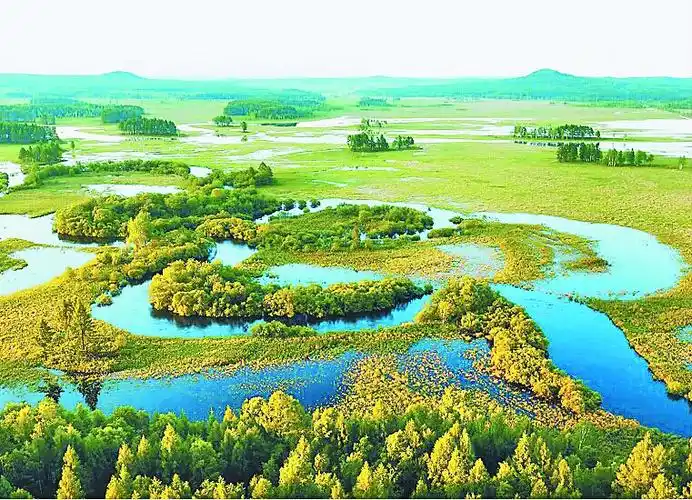 大兴安岭:"醉美兴安"释放绿色能量