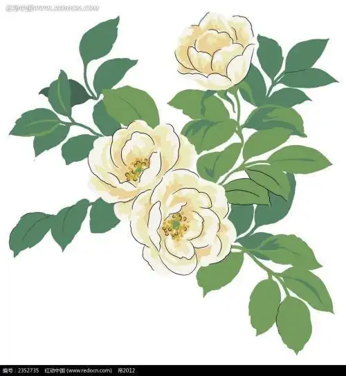 山茶花简笔画彩色