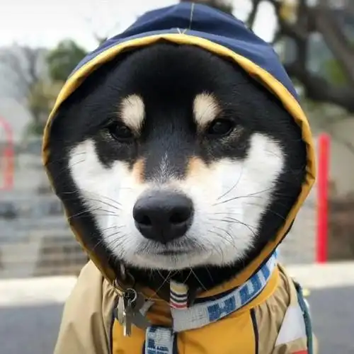 头像丨男生首先是疼痛然后才是欢乐