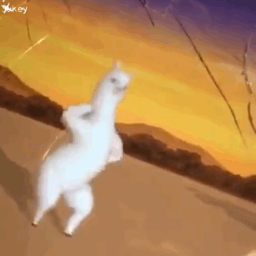 我要是你自己退群沙雕羊驼动图表情包动图羊驼沙雕退群表情