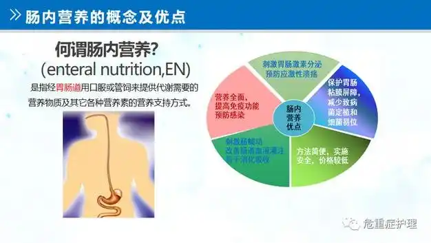 ppt肠内营养路径的评估与维护