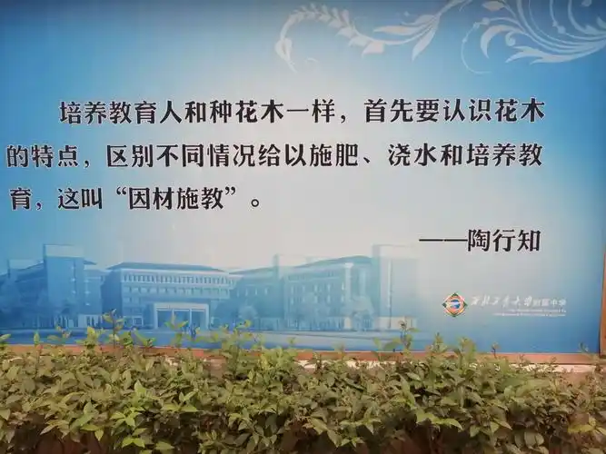教学楼后面文化墙上的名人名言无时不在激励我们!