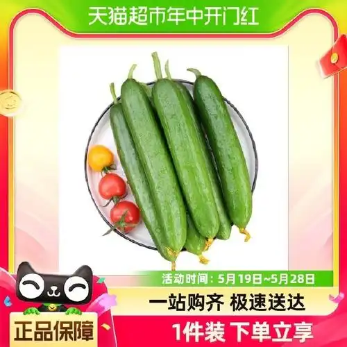 【￥11.9】荷兰水果黄瓜现摘现发清脆爽口嫩青瓜生吃蘸酱