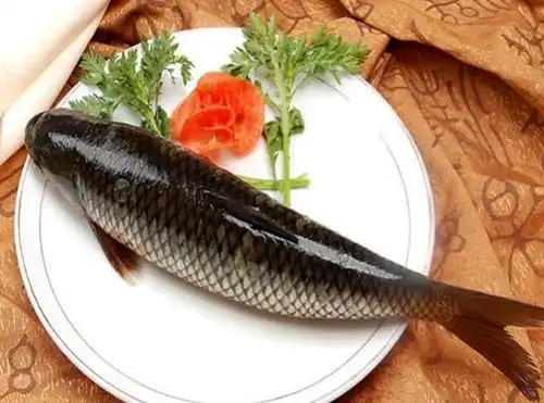 大过年的,上一盘酸菜鱼