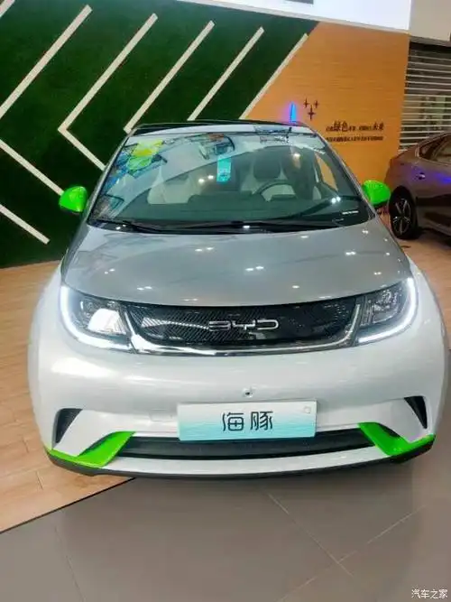 【图】比亚迪海豚,真的是很可爱_海豚论坛_汽车之家论坛