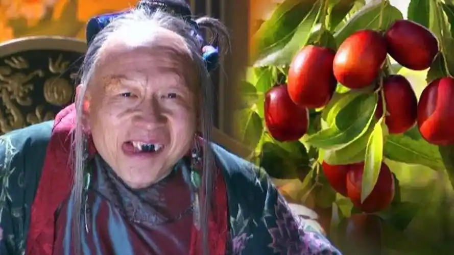 长时间吃枣真能养颜美容吗?《神雕侠侣》裘千尺就是最好的证明