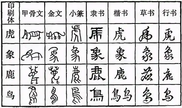 汉字的演化发展史_文字