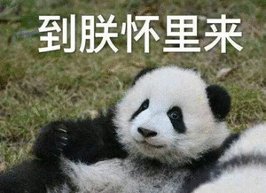 表情包 - 表情图