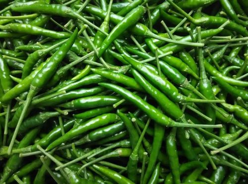 新鲜青辣椒蔬菜农家自种青小米椒超辣辣椒泡椒 朝天椒5斤