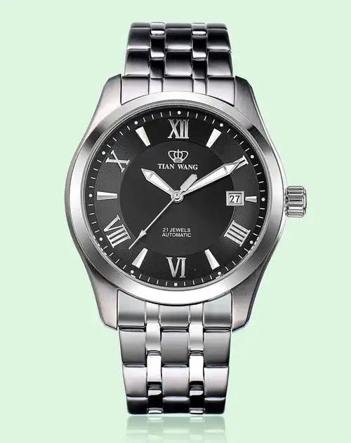 天王tian wang手表专场-经典商务复古机械男表