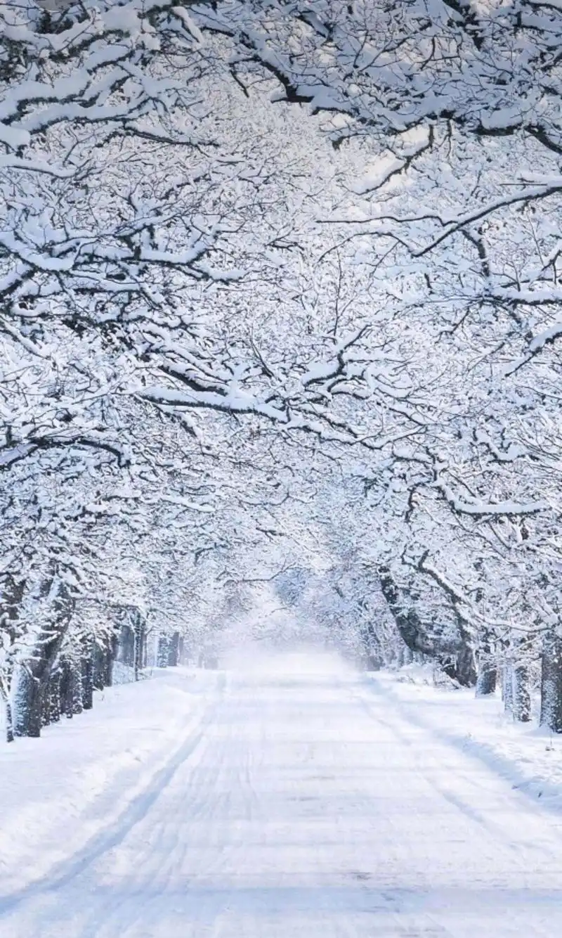 落雪千片漫天雪狂舞纷飞奔人间