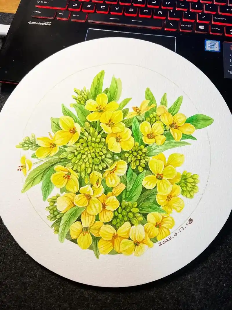 水彩花卉写生练习·一簇油菜花.#水彩 #水彩花卉 #一起学画 - 抖音