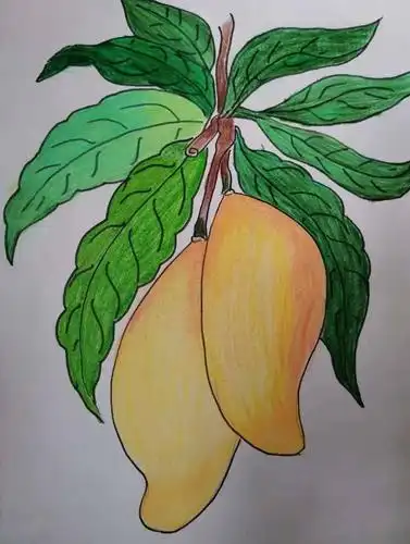 小学部【课程实践】芒果树下的美术课_绘画