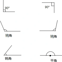 (2)画出两个钝角.(3)画出一个锐角与一个平角.