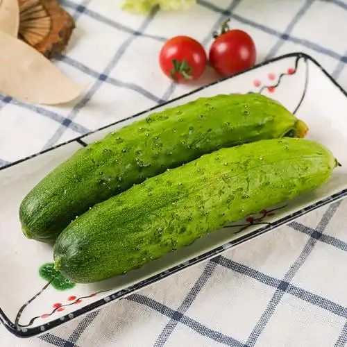 优选胶东绿皮黄瓜400g黄瓜