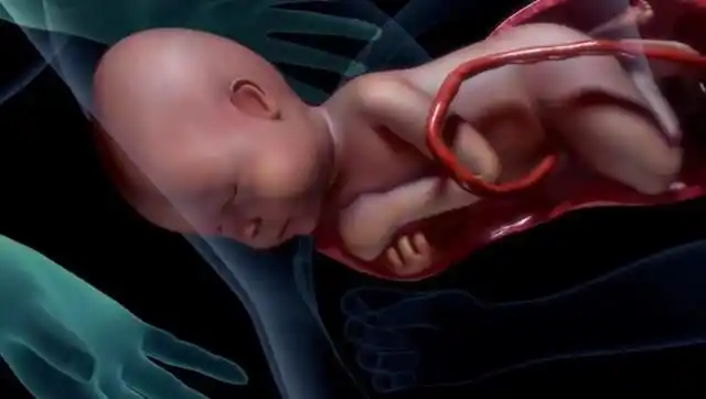 女人生孩子究竟有多疼?3d模拟演示全过程,向母亲致敬!