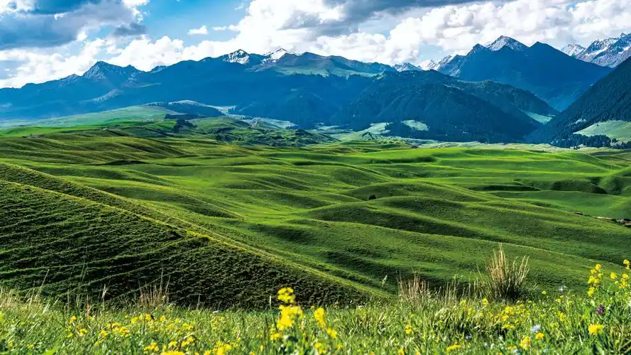 大美春色之旅-新疆伊犁