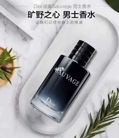 dior迪奥香水旷野男士香水