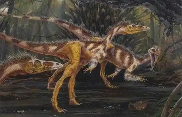 最大的恐龙是什么恐龙?