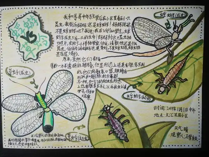 "我与祖国同成长 童心筑梦新时代"山东省少儿书法绘