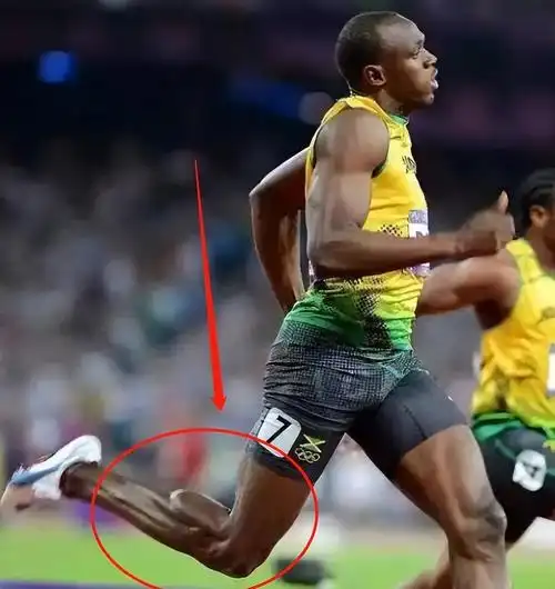 迈克尔菲尔普斯身材(体坛"非人类"天赋!