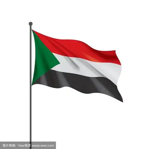 苏丹国旗,矢量插图在白色的背景