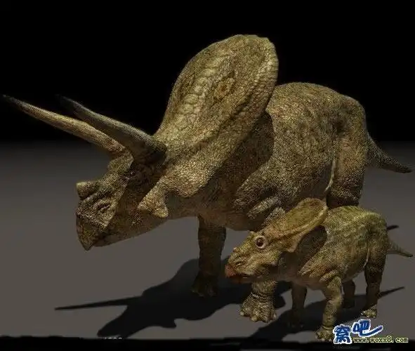 盾甲龙类(古生物学 名词)盾甲龙类名字意为"装甲