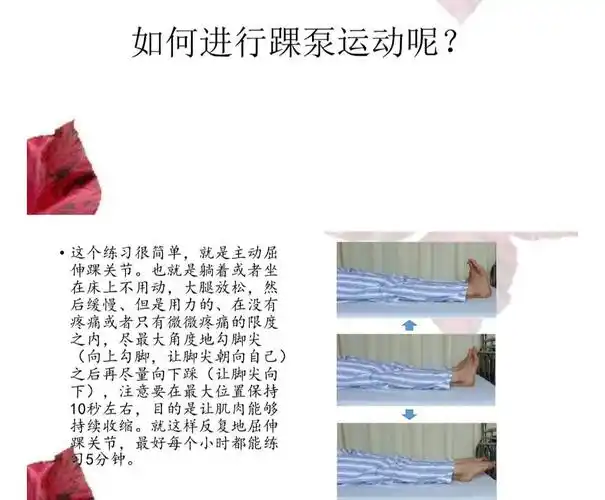 今天您做踝泵运动了吗?