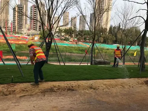 【国艺园林】大沙河生态长廊景观项目绿化工程ii标