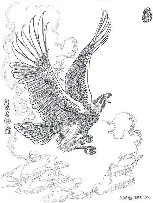 工笔动物 雄鹰白描画稿