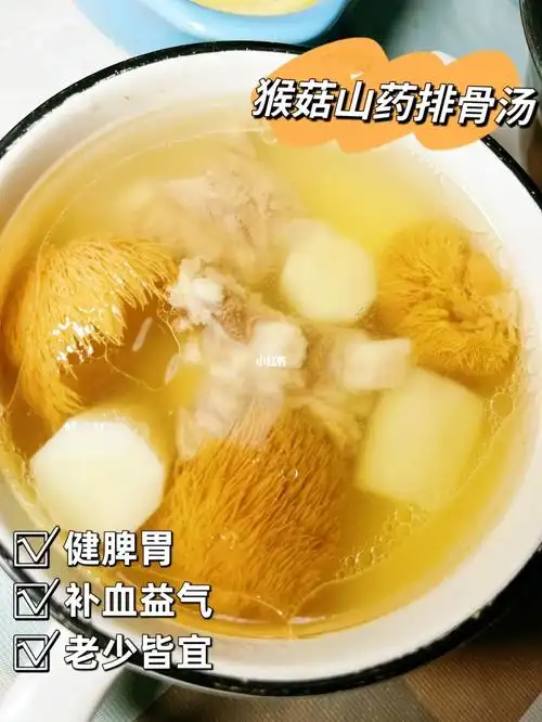 家庭养胃汤丨猴头菇山药排骨汤