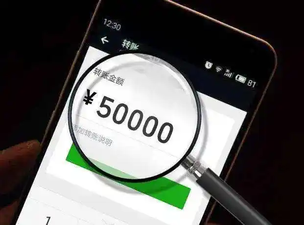 5万元转账至个人名下,以盗窃罪被辽源市龙山区人民法院判处有期徒刑